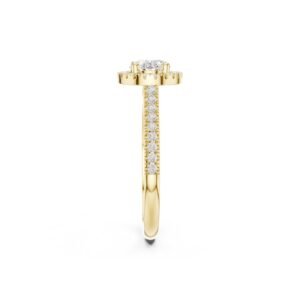 R10347Y3 1 10 Owolite