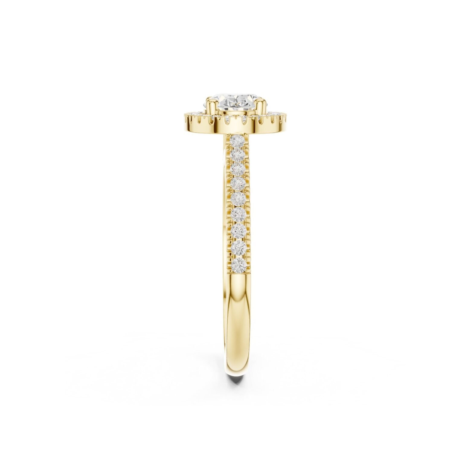 R10347Y3 1 scaled 5 Owolite