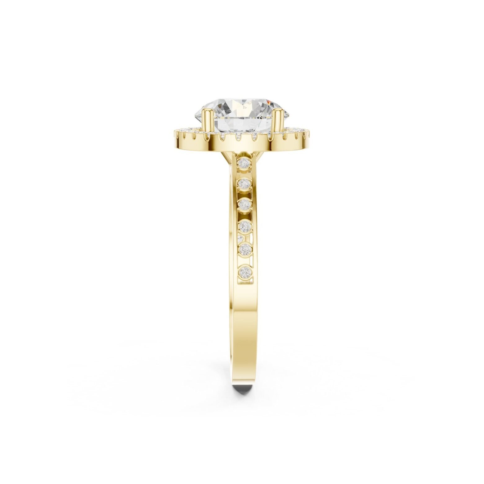 R10349Y3 1 scaled 5 Owolite