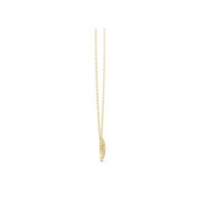 3NK10004Y3 1 7 Owolite