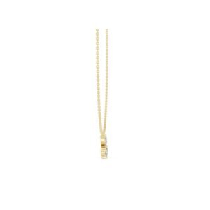 3NK10006Y3 1 7 Owolite